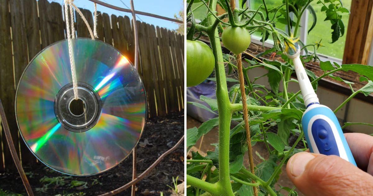 17 Clever Ways To Repurpose Everyday Household Items Into Garden Magic