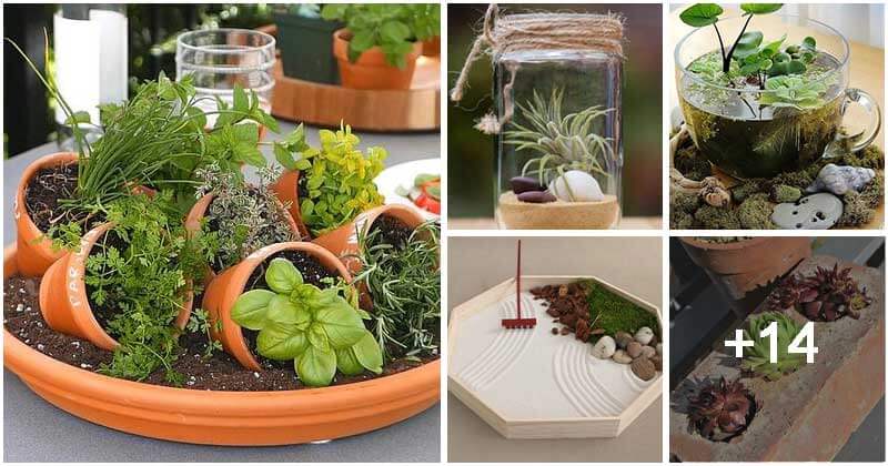 19 Cutest Mini Garden Ideas For Desk
