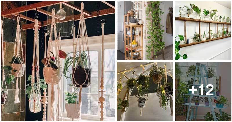 17 Old Ladder Ideas To Display Houseplants
