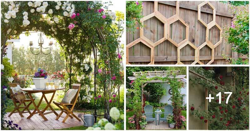 21 Beautiful Garden Trellis Ideas To Spruce Up Your Outdoor Space