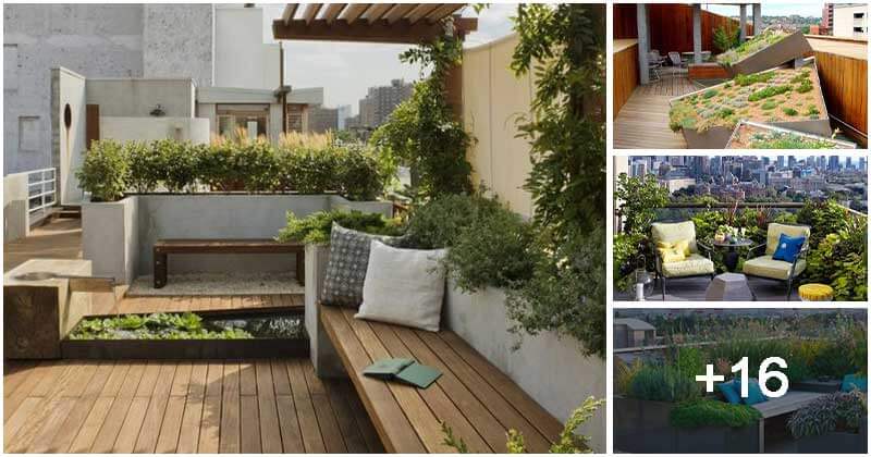 20 Glorious Roof Landscaping Ideas