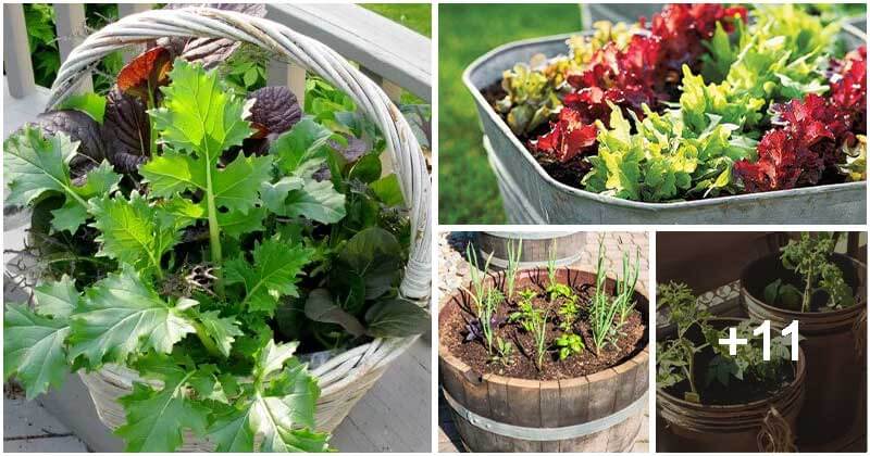 DIY Vegetable Container Garden Ideas