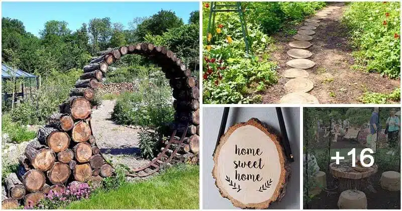 20 stunning wood slice ideas for home and garden