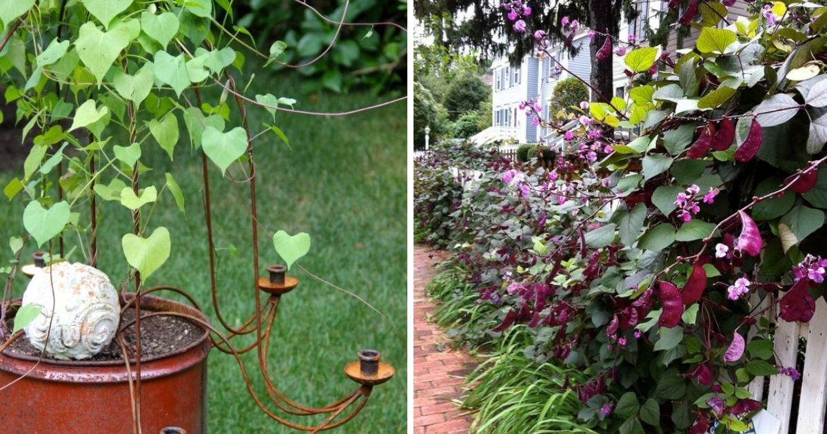 17 Clever DIY Garden Support Ideas That Help Your Plants Thrive
