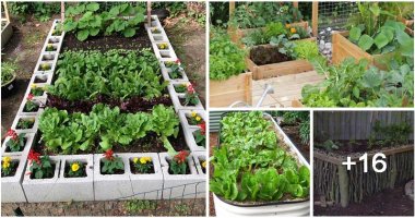 20 DIY Raised Garden Bed Ideas That Made Out Of Easy-to-find Materials