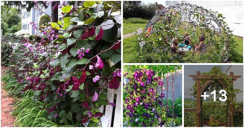 17 Genius DIY Garden Support Ideas