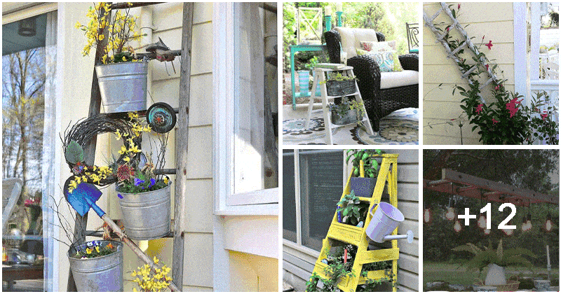 Easy DIY Garden Projects Made Out Of Old Ladders