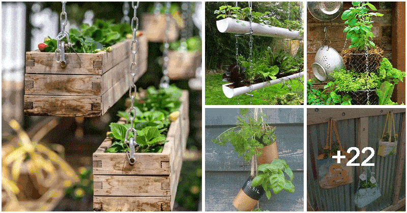 27 DIY Hanging Garden Ideas