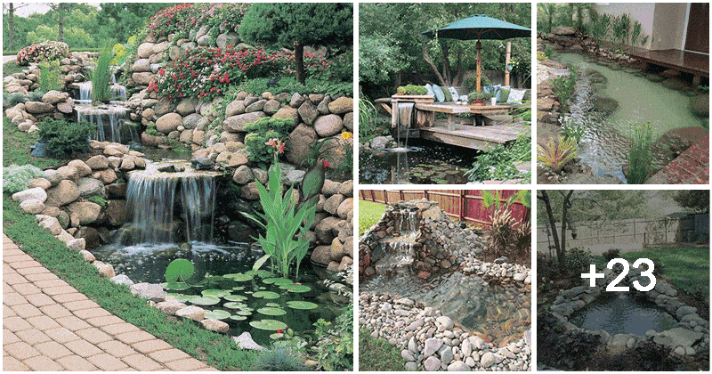 28 Best Beautiful Water Garden Ideas