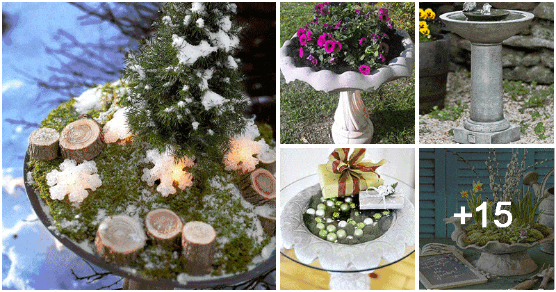 20 Brilliant Ideas To Reuse Your Old Birdbath