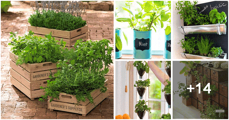 Easy DIY Herb Planter Ideas Everyone Can Do