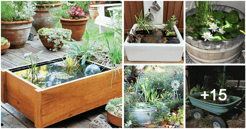 20 DIY Mini Backyard Water Pond Containers
