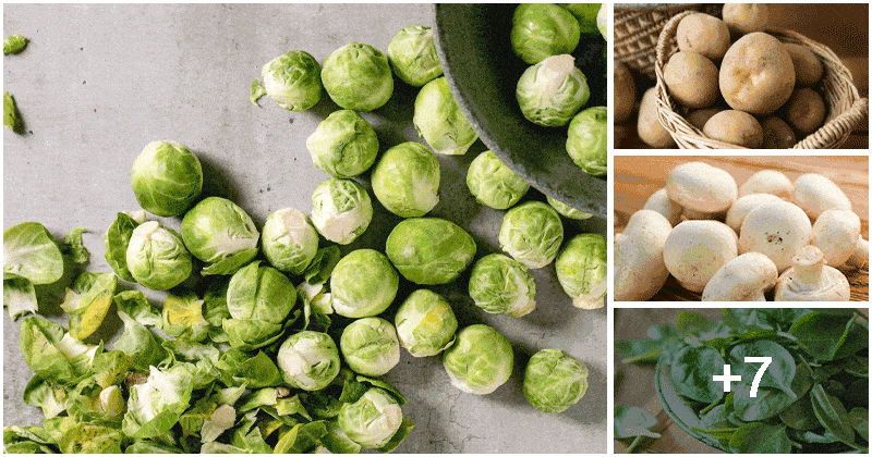 11 Popular Veggies Packed with High Protein