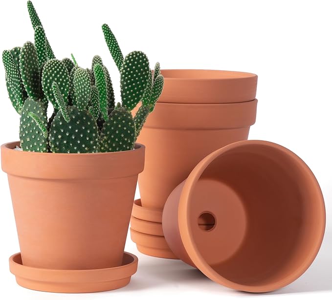 Shop Clay Pot 6''