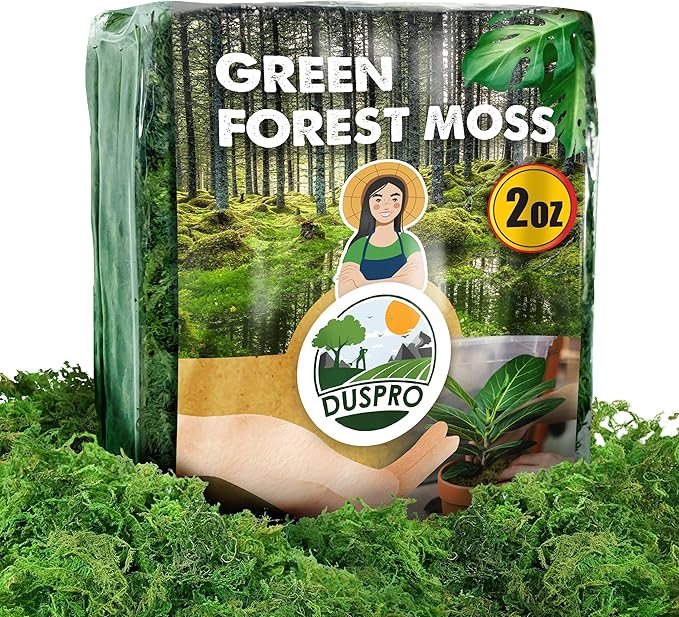 Shop Moss