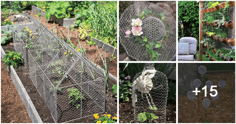 Elevate Your Garden with 20 Ingenious Wire Craft Ideas