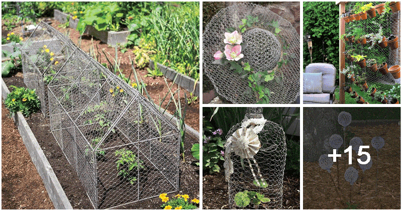 20 Creative Garden Ideas Made From Wire