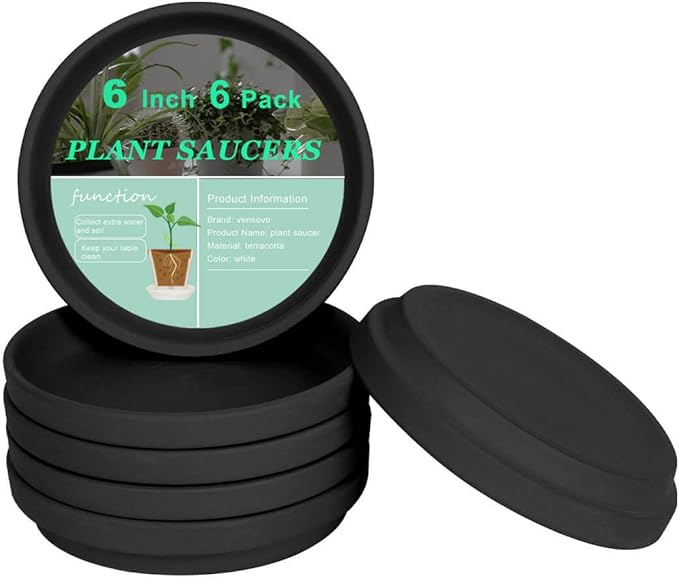 Shop clay saucers