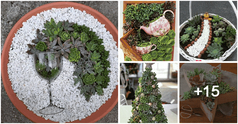 20 Beautiful Ways To Decorate With Succulents