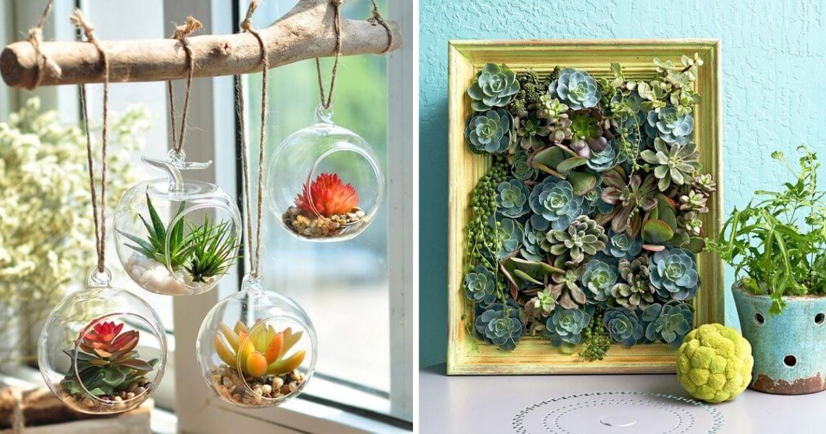 20 Creative DIY Indoor Succulent Garden Ideas