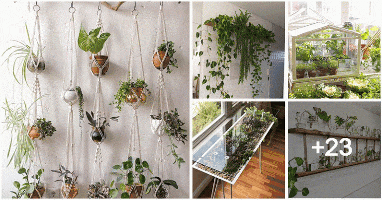 28 Creative Small Indoor Gardens For Home Decor