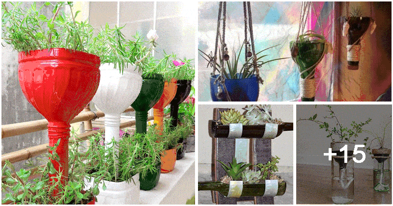 19 Brilliant DIY Bottle Garden Ideas
