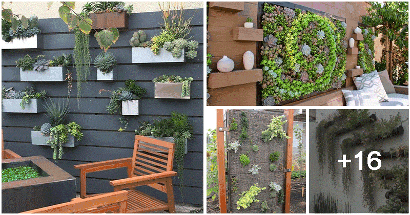 21 Stunning Outdoor Succulent Wall Garden Ideas