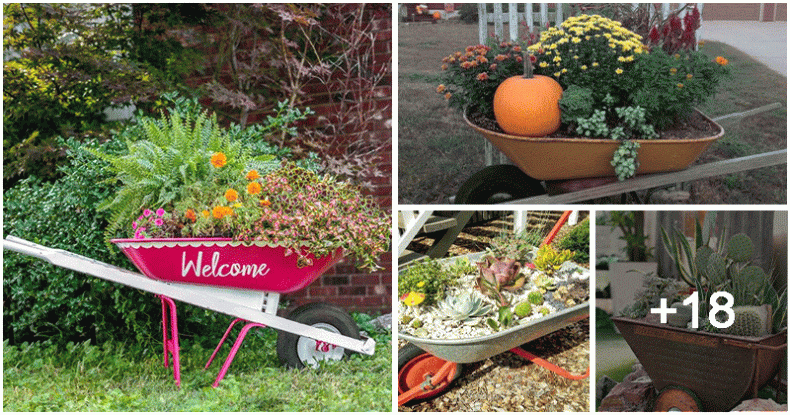 Wheelbarrow Planting Ideas