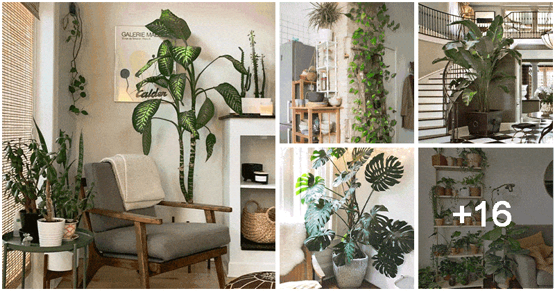 21 Inspiring Indoor Plant Corner Ideas