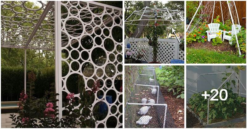 25 Useful PVC Pipe Garden Projects