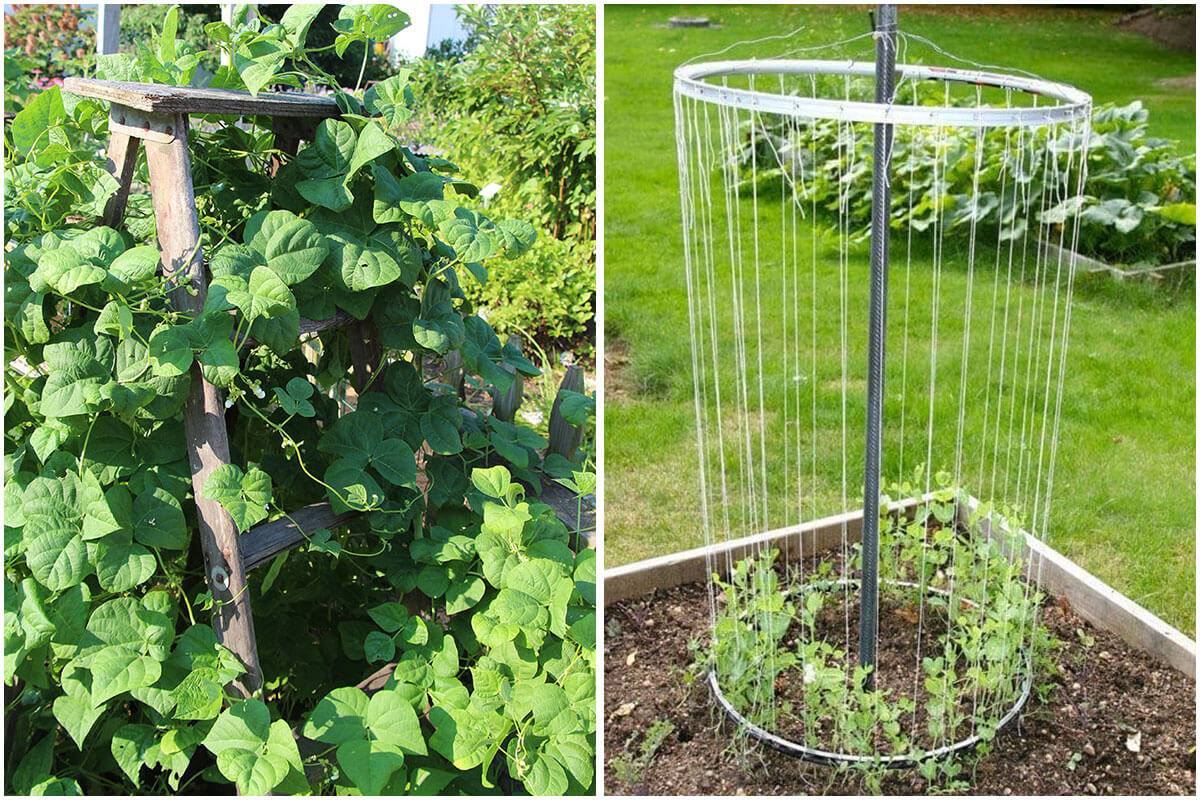 15 Diy Recycled Trellis Ideas For Your Garden