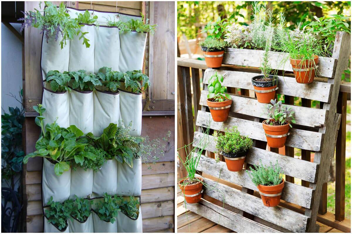 19 Cheap And Unique Garden Containers