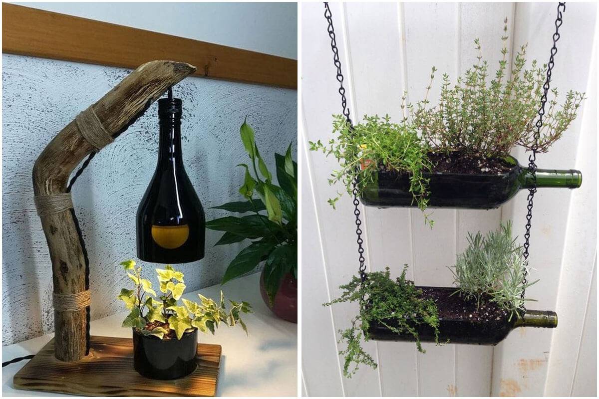 Brilliant Bottle Planters You Can Make Easily At Home