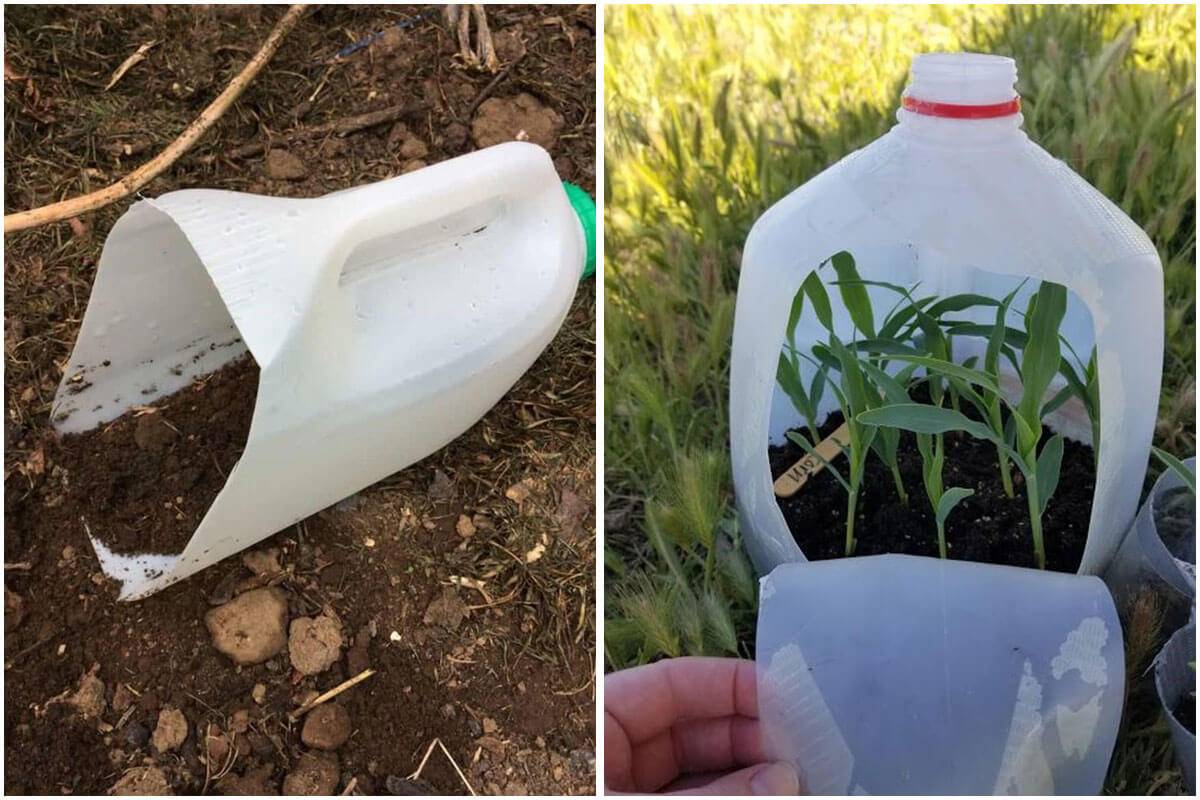 Useful Plastic Milk Jug Crafts Ideas For Your Home And Garden