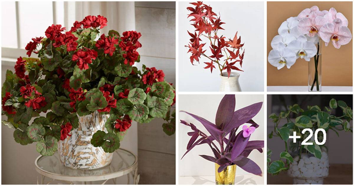 25 Plant Cuttings To Give A Good Look In Vases