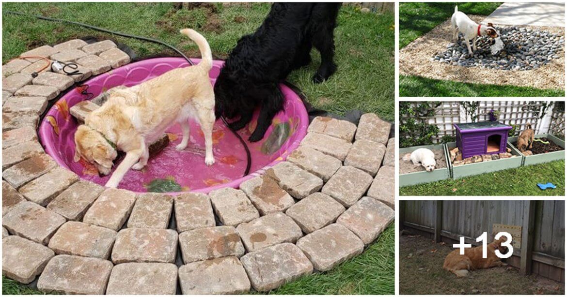 17 DogFriendly Backyard Ideas