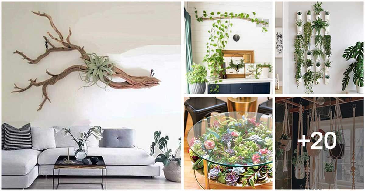 23 Clever Ideas To Display Your Houseplants