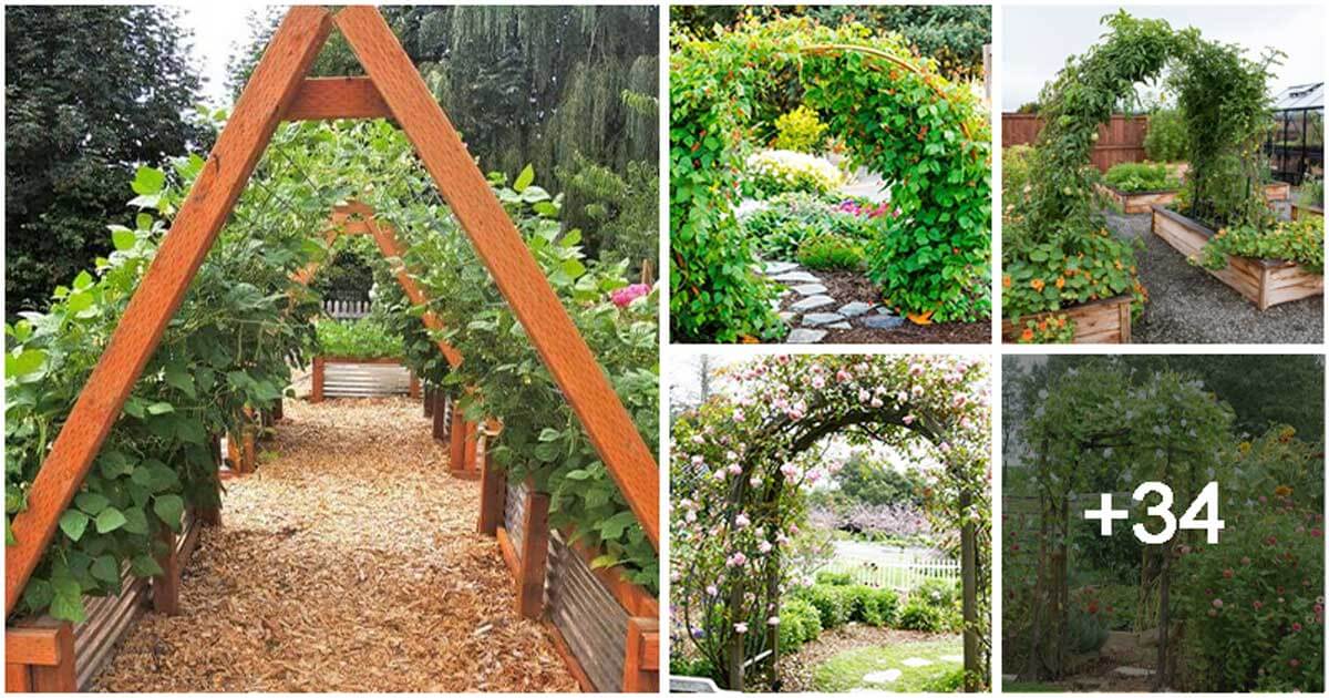 39 Beautiful Garden Trellis, Arbor Inspirations To Enhance Your Landscaping