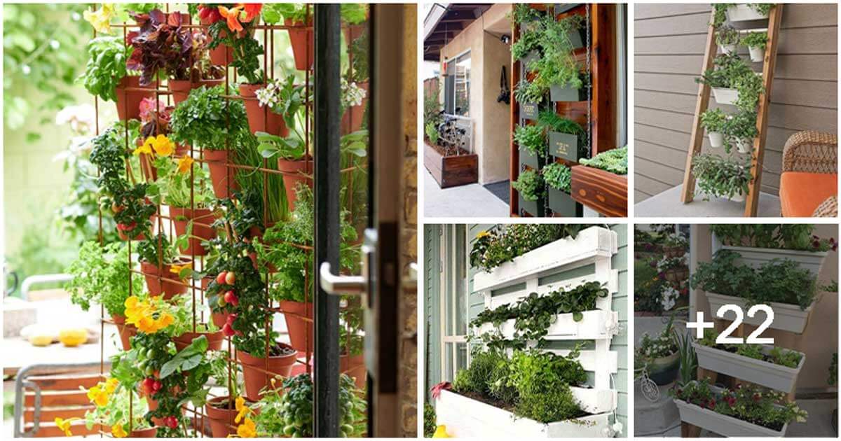 27 DIY Porch Herb Garden Ideas