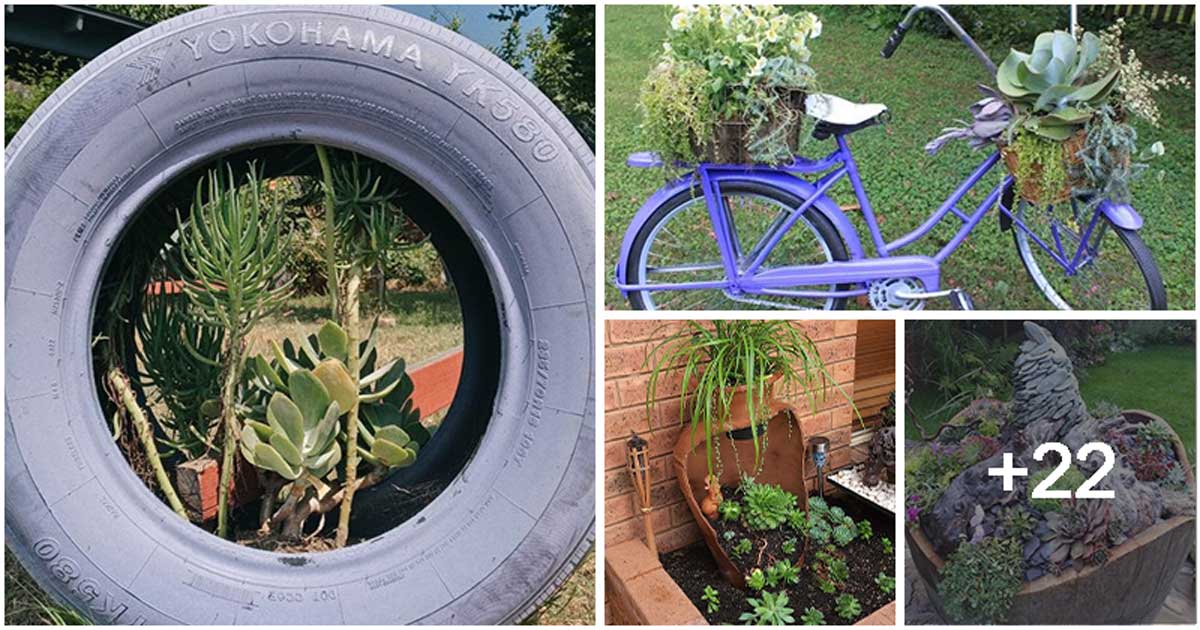 26 Upcycling Outdoor Succulent Planter Projects