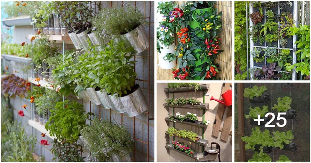 30 Upcycled Vertical Garden for Limited Spaces