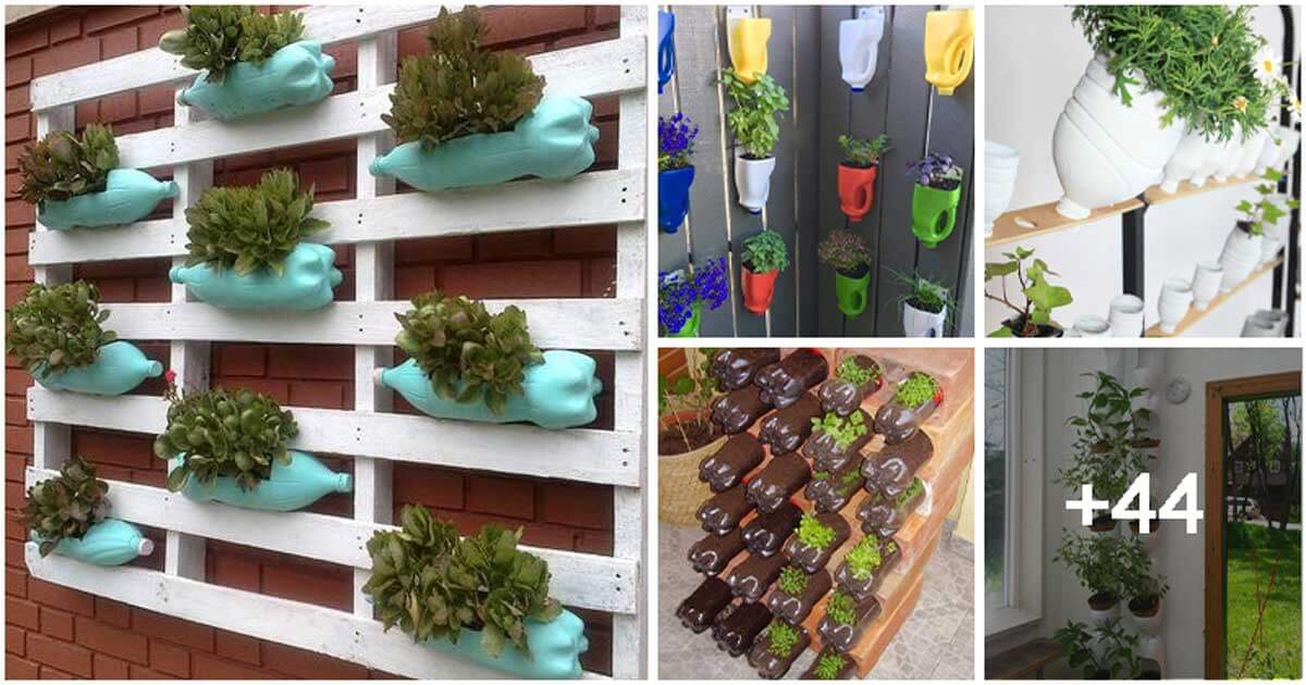 49 Easy and Fun DIY Plastic Bottle Planters
