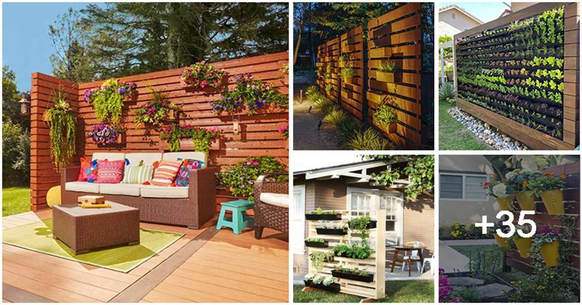 40 Vertical Garden Ideas Used As Backyard Privacy Screens