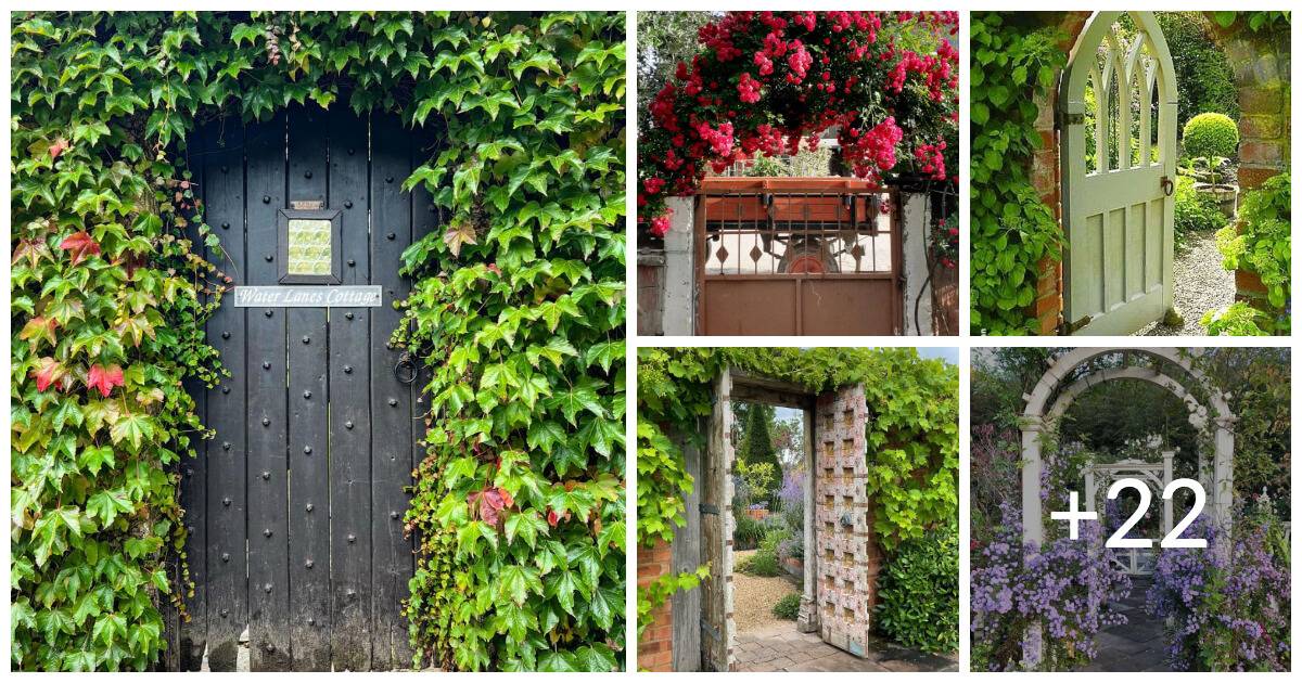20+ Garden Gate Landscaping Ideas