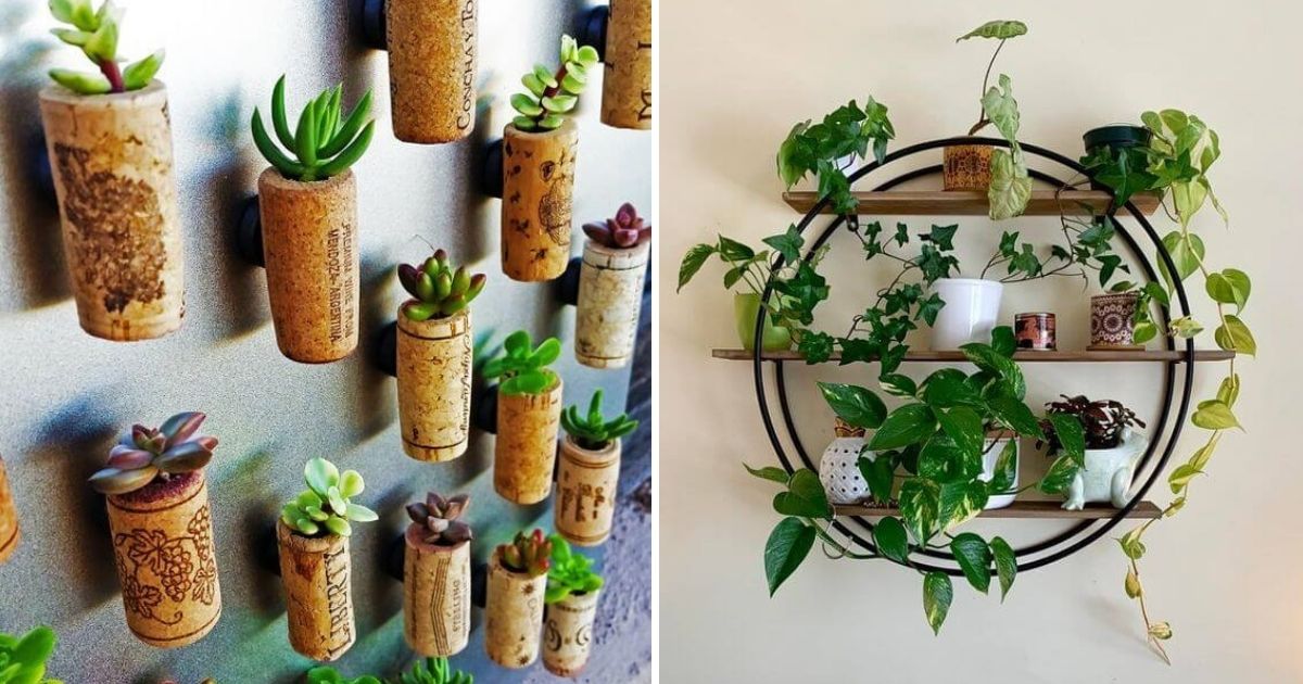 35 Eye-catching Indoor Wall Decor Ideas With Plants To Inspire You