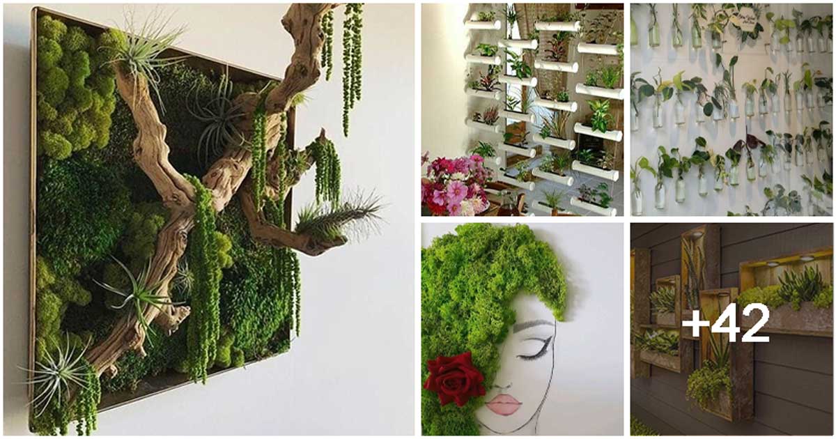 47 Stunning Ways to Display Plants in Your Living Space