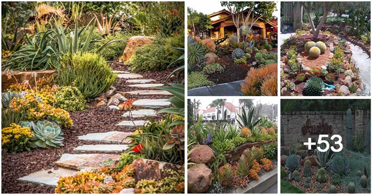 58 Magical Succulent Ideas to Change Your Garden Landscape