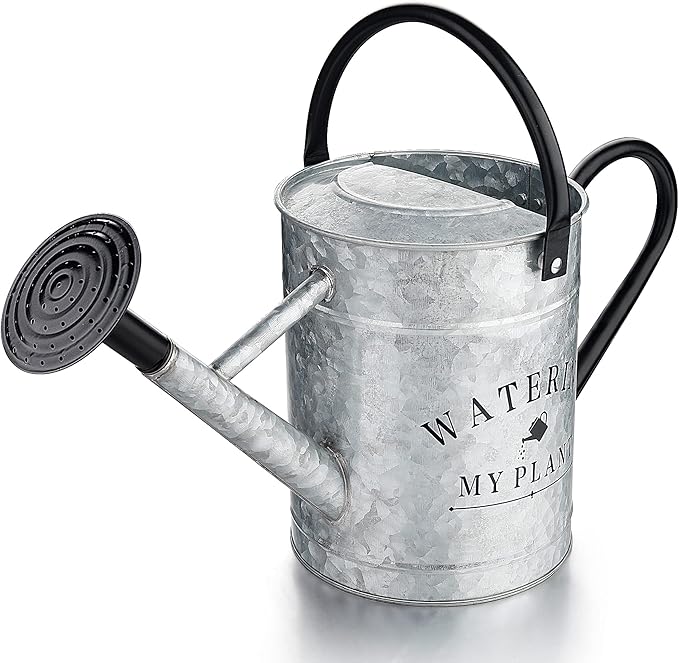 Shop metal watering can