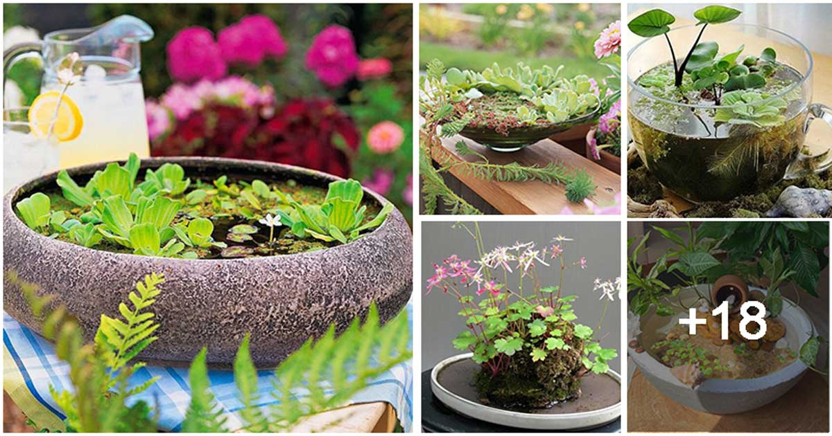 23 DIY Water Garden Centerpiece Ideas For Your Tabletop