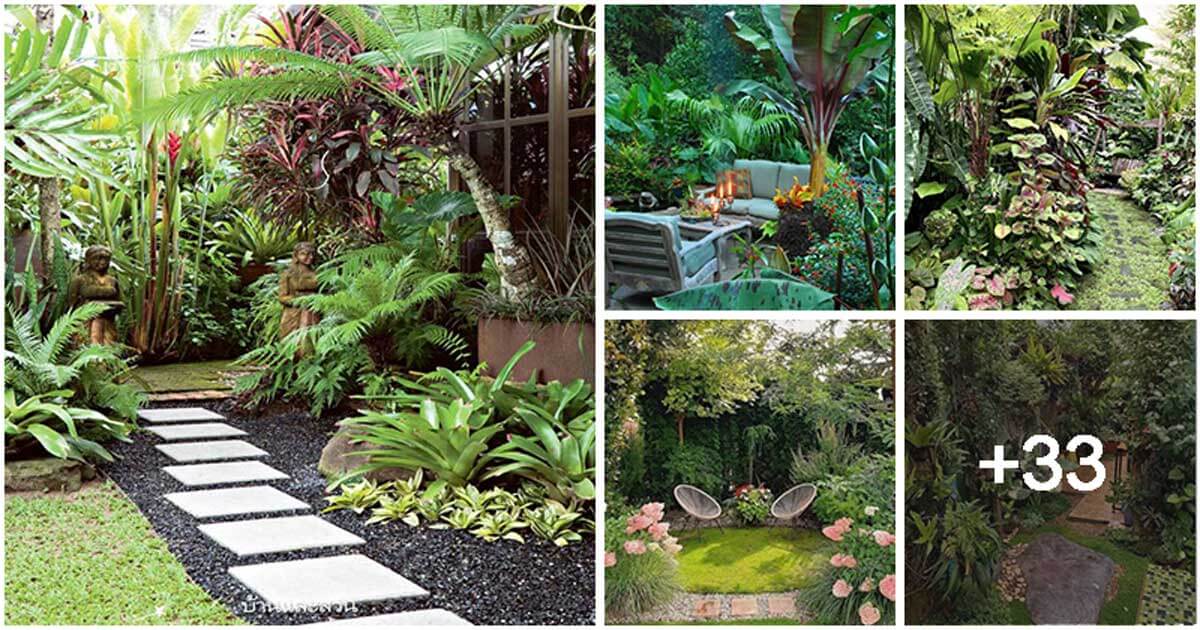 38 Stunning Ideas to Turn Your Boring Garden into a Cool Tropical Garden